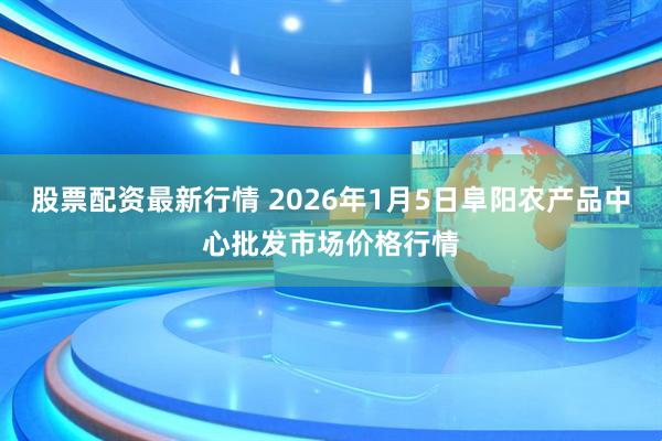 股票配资最新行情 2026年1月5日阜阳农产品中心批发市场价格行情
